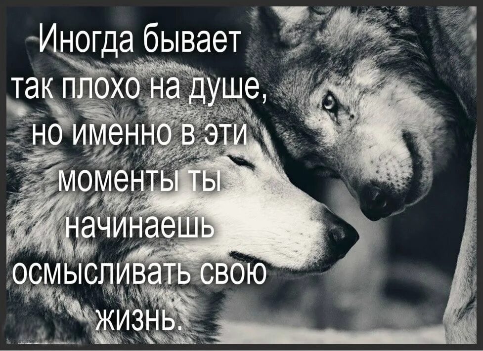 Когда тебе плохо цитаты. На душе стало комом. На душе стало комом. Скучающая девушка. Душевные высказывания.