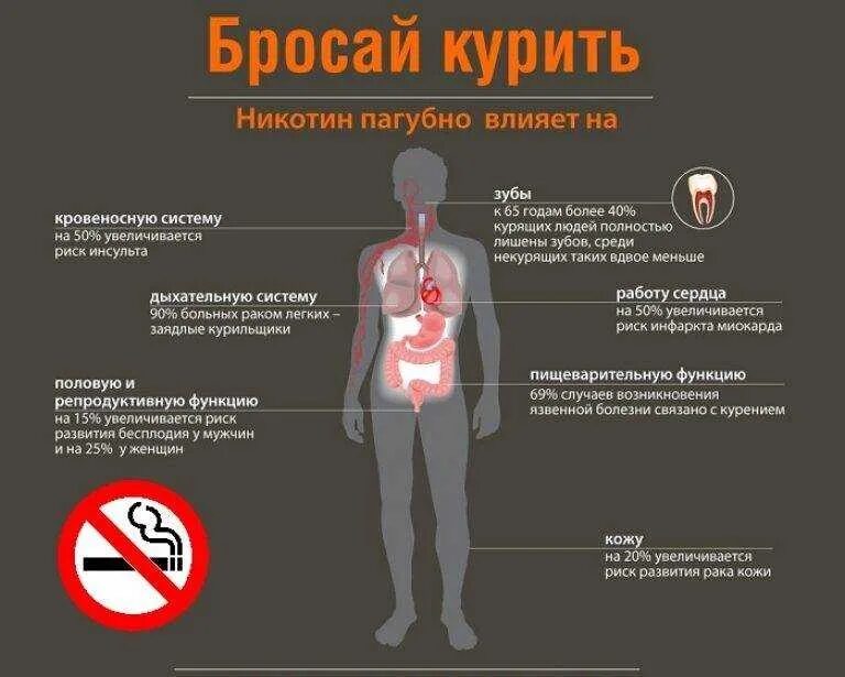 Влияние никотина на организм человека. Влияние табакокурения на организм человека. Влияние курения на организм человека. Как курение влияет на организм человека.