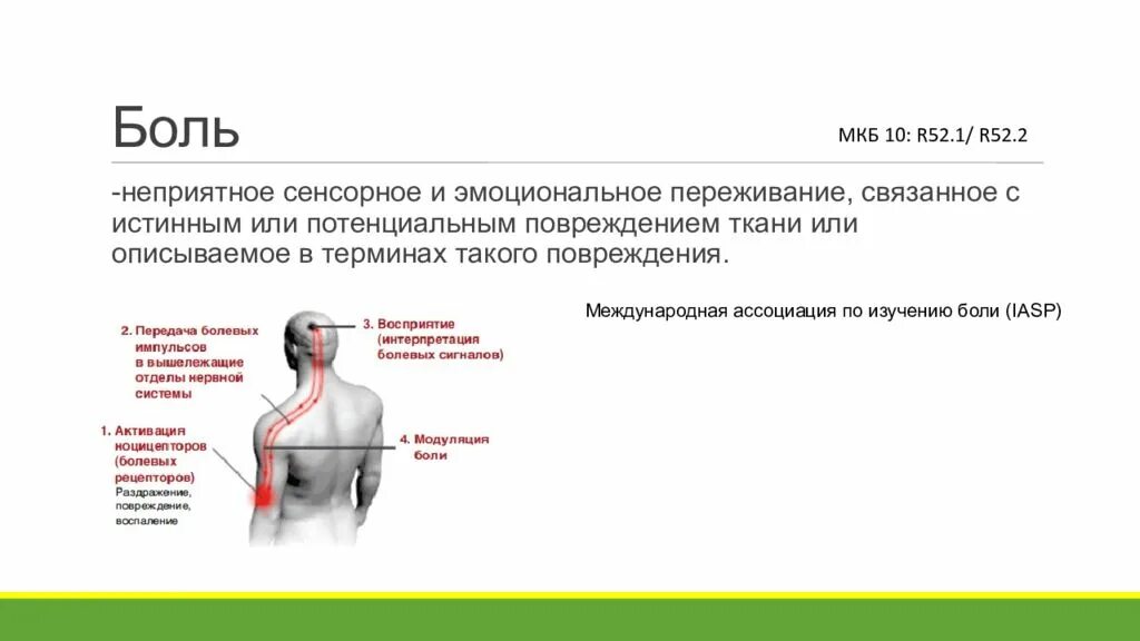 Субъективно боль. Передача болевых сигналов. Модуляция боли. Карта боли для паллиативных больных картинки.