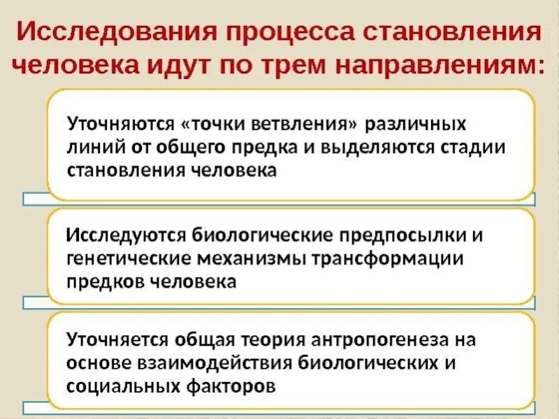 Процесс становления развития человека