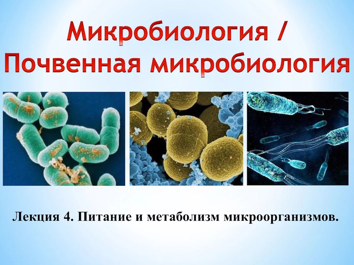 Бактерии выделяют метан. Микроорганизмы микробиология. Бактерии микробиология. Лекции по микробиологии. Микроорганизмы что такое по микробиология.