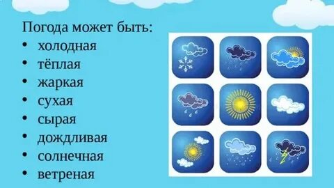 Круглый год холодная и сухая погода какой