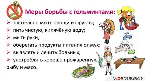 Правила поведения помогающие избежать заражения паразитическими простейшими