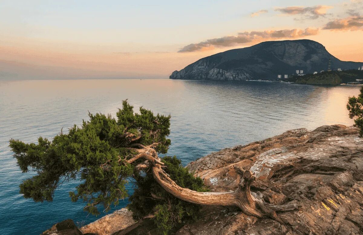 Мыс Плака Крым Алушта. Алушта Утес мыс Плака. Мыс Плака и поселок Утес.