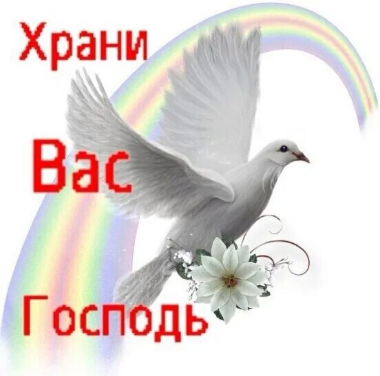 Храни особенных. Храни тебя господь. храни вас бог. да хранит вас господь. хранива госпдь.