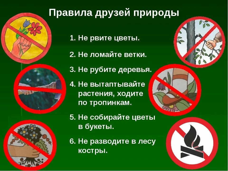 Окружающий мир плешаков 3 класс охрана животных