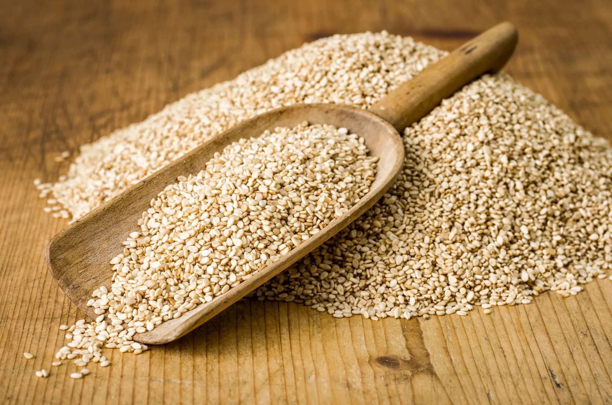 Кунжут сканворд 5. Кунжут(sesame). кунжут белый, семена. сесамовые зерна растения кунжут. сезам специя.
