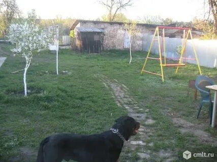 Воронеж бахчеево