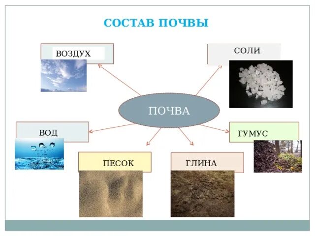 Образования минеральных солей в почве