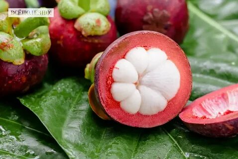 Какой самый сильный фрукт