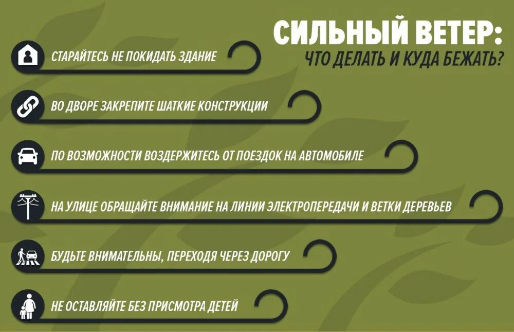 Штормовое предупреждение. Стих злой осенний ветер бьет. Ветер уносит слабых и худых. Названия ветров. Сильнее ветра продолжение.
