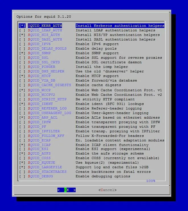 Squid через squid. Установка squid. debug squid. squid log parser. squid config ui.