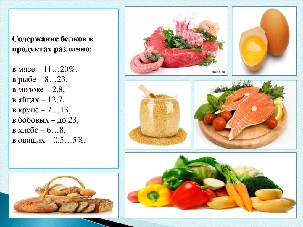 Содержание белка в продуктах. Продукты содержащие белок. Поддкты содержащие белком. Содержание белков в различных продуктах.