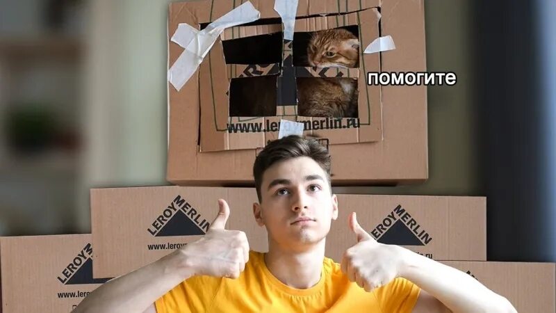Чимин мем от брайна мапса. Тигра брайан мапс. кот брайана. тигра брайан мапс мемы. брайан мапс и его кот.