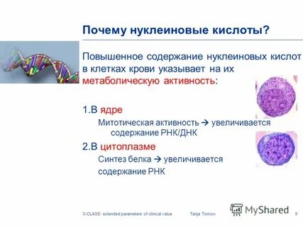 Что значит митотическая активность