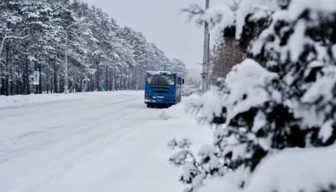 Зимний автобус