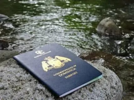 Цифровое гражданство доминики