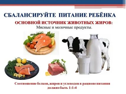 Сбалансированное питание жиры