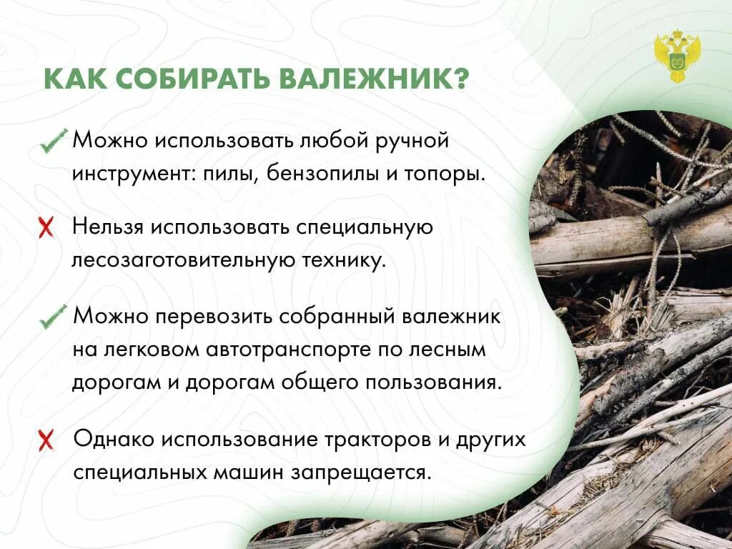 Валежник можно брать. Валежник. Сбор валежника в лесу. Памятка о сборе валежника. Лесной валежник.