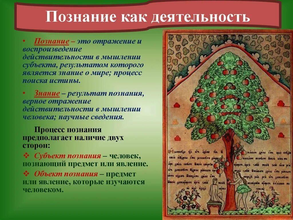 Мышление результат познания