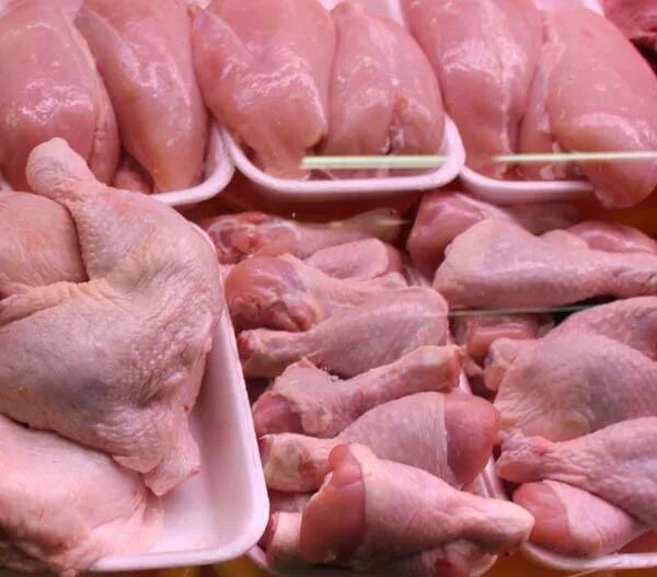 блюда из мяса птицы презентация. экспертиза качества мяса. пищевая ценность мяса из птицы. характеристика домашней птицы. курица тушка.