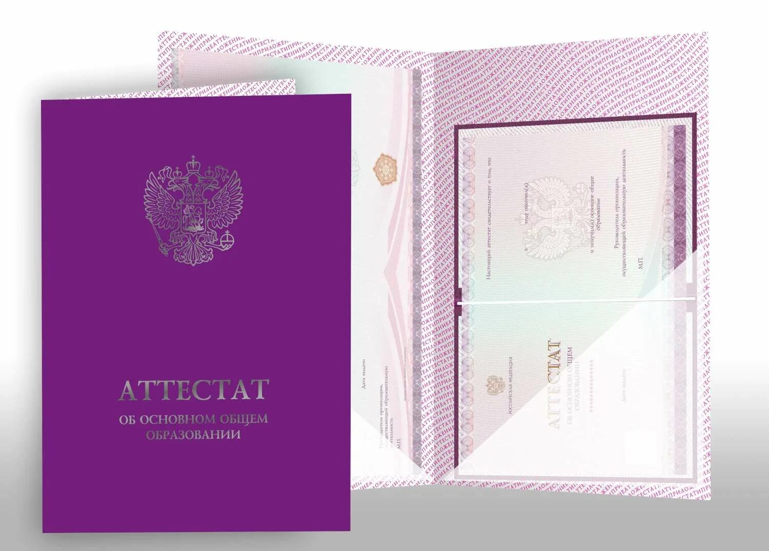 Образец аттестата об основном общем образовании. Папка для аттестата. папка для аттестата о среднем общем образовании. фиолетовый аттестат. аттестат об основном образовании.