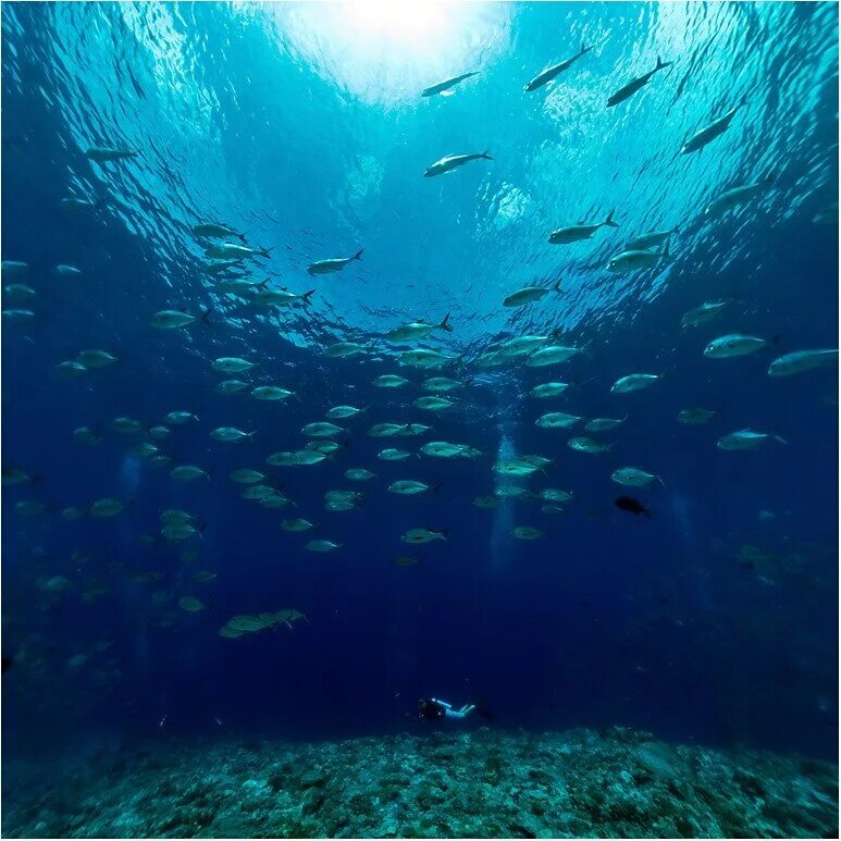 Поверхность воды снизу. Морские глубины. Море глубина. Море под водой. Что под дном океана.