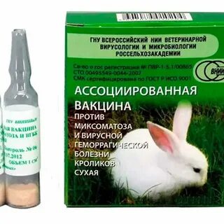 Вакцина кроликам от миксоматоза и вгбк инструкция