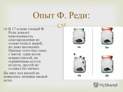 Опыт реди