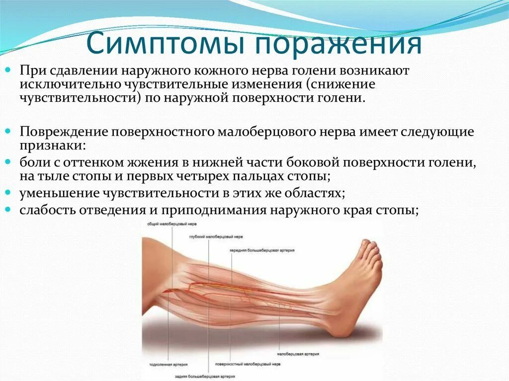 Чувствительность стопы. Чувствительность стопы. Поражение малоберцового нерва симптомы. Чувствительная стопа иллюстрация. Чувствительность стопы.