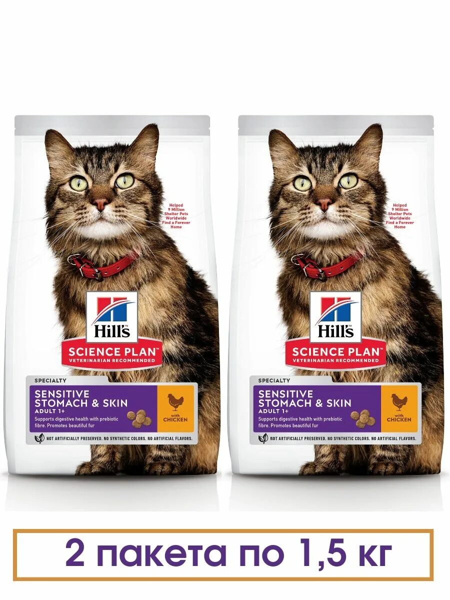 Hills stomach skin для кошек. Зимние скины для майнкрафта. Без хрустов. Сухой корм hill's science plan sensitive stomach & skin для кошек. Железный человек майнкрафт.