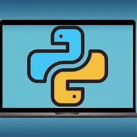 Основы пайтон. Васильев программирование на python. Задачи на питоне по программированию. Получить индекс элемента списка python. Деление без остатка питон.