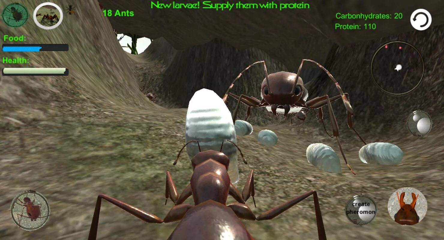 Planet Ant игра. The Ants игра. Симулятор муравья. Симулятор насекомых. Игра симулятор муравья