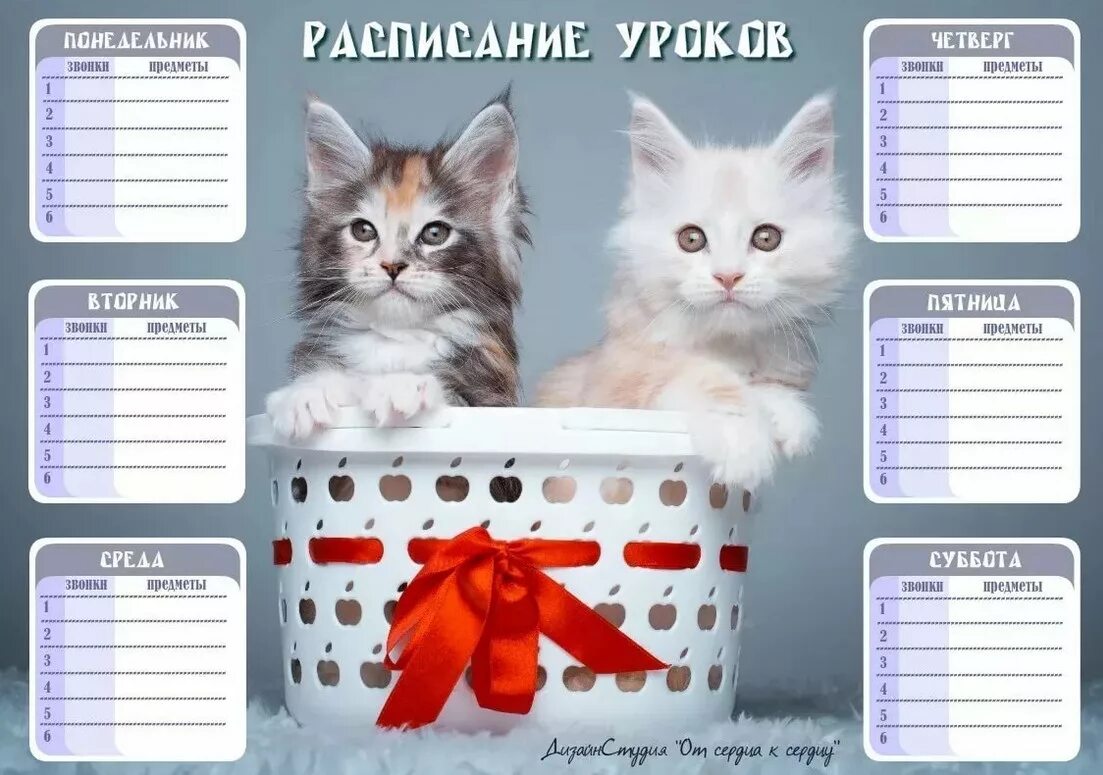 Создать класс cat