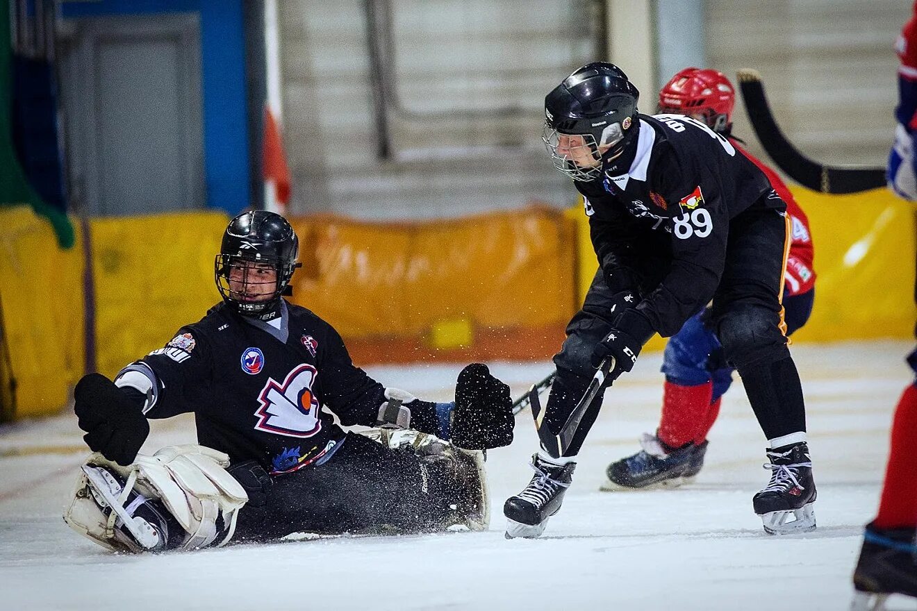 хк кузбасс кемерово. криушенков денис хоккей. сайт хоккея кузбасс. хк кузбасс эмблема. кузбасс (клуб по хоккею с мячом).