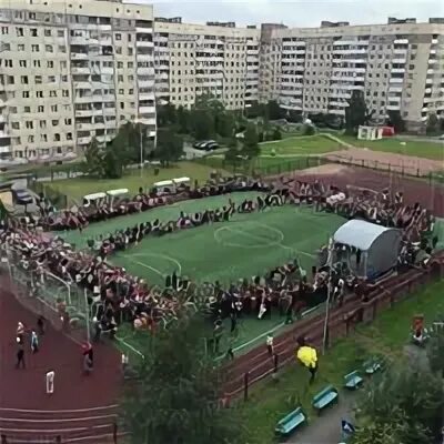 303 школа фрунзенского