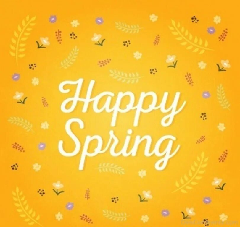 Spring messaging. Spring надпись. Hello Happy Spring. Happy Spring Day. Summer Spring надписью картинки.