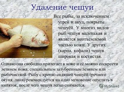 Падеж рыбную