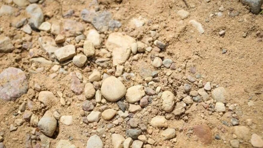 Пгс мытый. Гпс гравийно песчаная смесь. Гравийно-песчаная смесь гпс с-4. Пгс природный. Гпс гравийно песчаная.