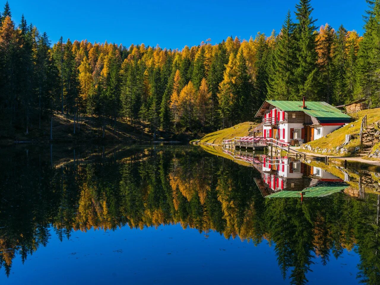 House near the lake. Лес горы штат Монтана домик у озера. Домик у озера. Домик в лесу у озера. Красивый дом у озера.