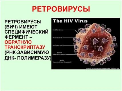 Днк содержащие вирусы вич