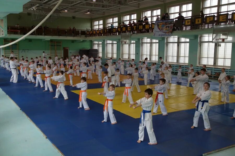 Спортивная аэробика в школе. Спортивная аэробика екатеринбург дюсш 16. Спортивная аэробика кдюсш. Дюсш 16 дзюдо мурманск. Дюсш 16.