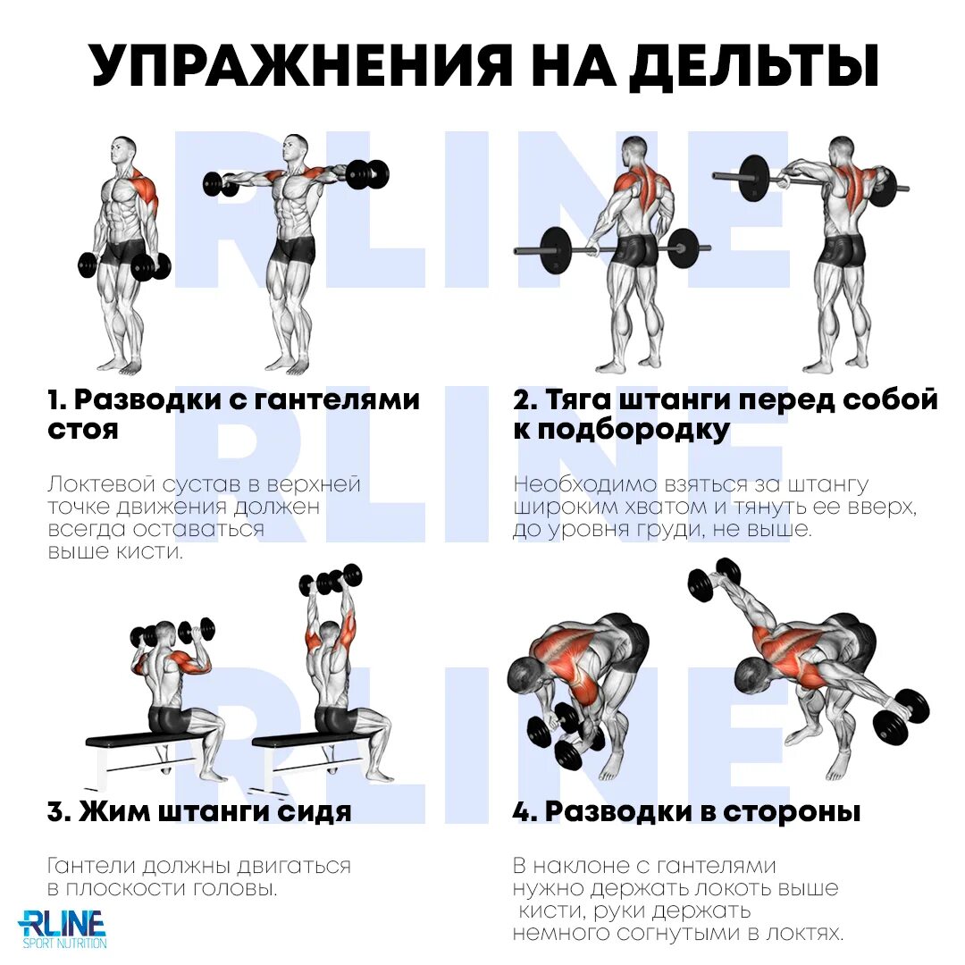 Упражнения для плечей с гантелями. Упражнения на переднюю дельту плеча в тренажерном зале. упражнения на дельты в тренажерном зале для мужчин. упражнения на дельтовидные мышцы в тренажерном зале. упражнения на дельтовидные мышцы с гантелями.