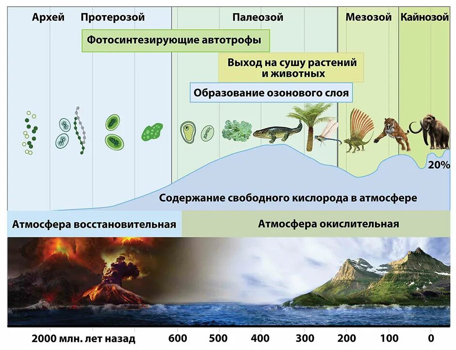 Архейская протерозойская палеозойская эра. Архейская и протерозойская эра. архейская и протерозойская эра таблица биология 9 животные и растения. архей и протерозой таблица. архейская и протерозойская эра периоды.