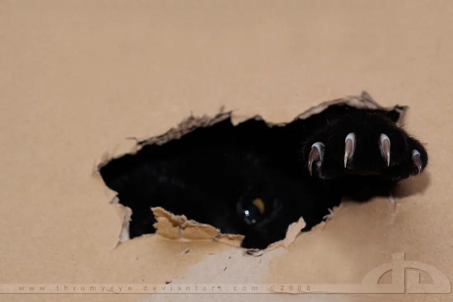 эх яблочко подходи буржуй