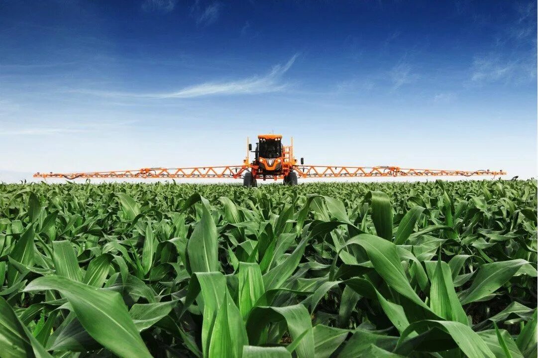 Сельскохозяйственный машинно-тракторный агрегат. Амазоне циррус 3001. Культиватор междурядный для сои. «ритм кпс-6». Современное сельское хозяйство.