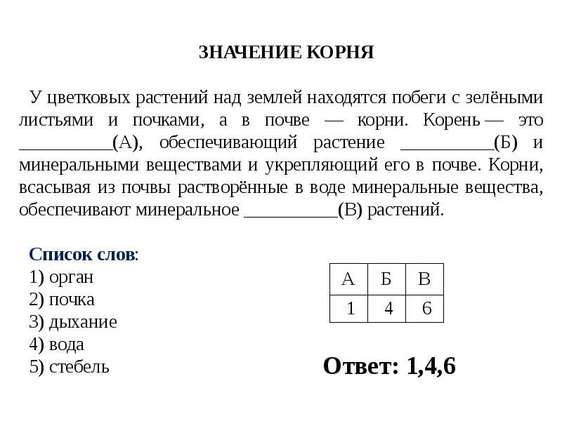 Впр по биологии ответы. ВПР по биологии 5 класс 2021 год 1 вариант. ВПР по биологии 5 класс 2021 год с ответами 1 вариант. ВПР по биологии 5 класс 2021. Решу ВПР по биологии 5 класс.