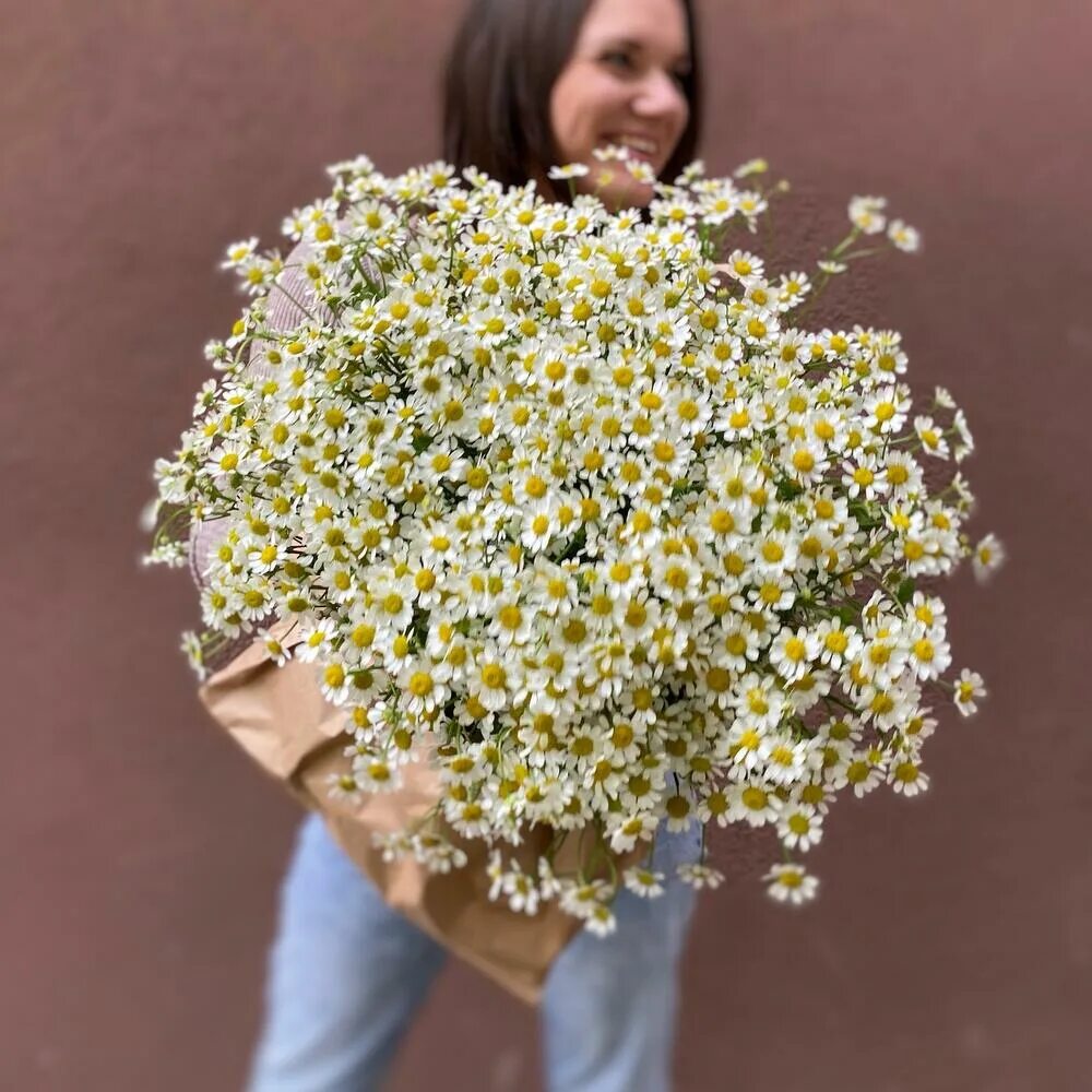 Фон солнечные зайчики. Солнечные зайчики клипарт. Солнечный зайчик в природе. Солнечный зайчик. Солнечный зайчик цветок многолетник.