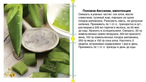 Какое лекарство сделать из алоэ