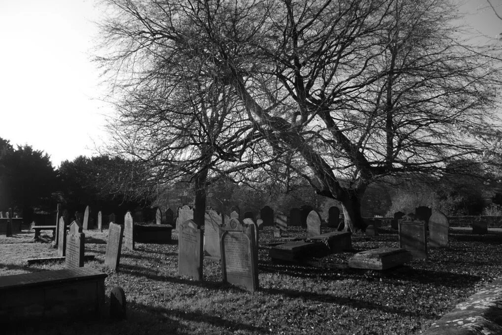 Надгробная плита заброшенное кладбище. The black grave. The black grave. The black grave. The black grave.